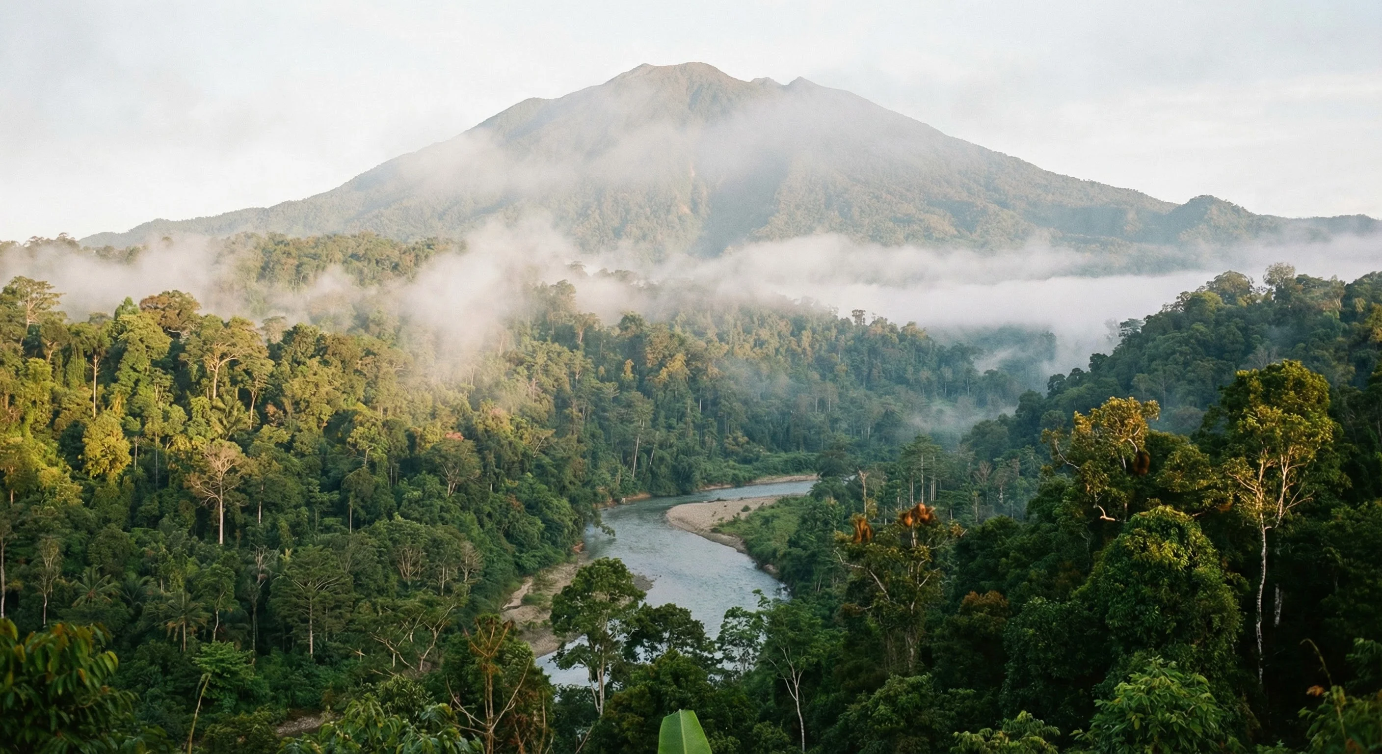 Aceh Tenggara (Southeast Aceh) – Travel Guide 2026