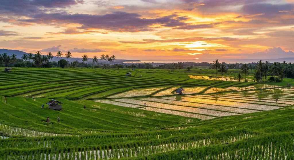 Pinrang – Travel Guide 2026