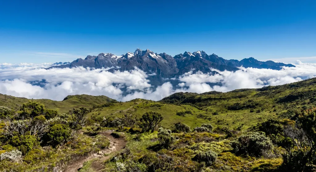 Puncak – Travel Guide 2026