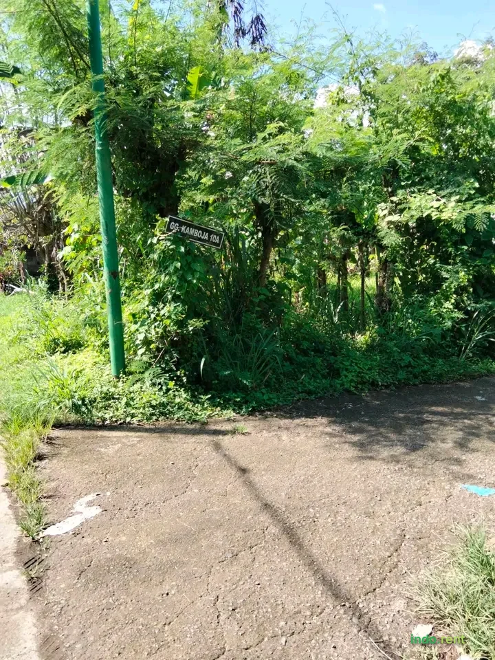 Tanah kebun