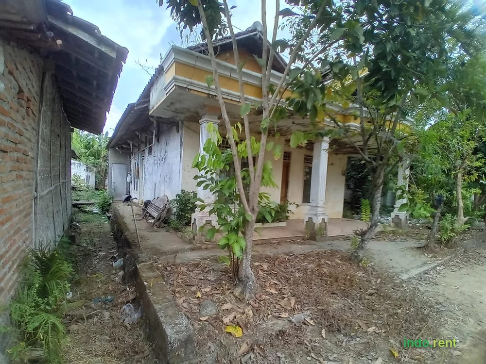 Dijual Murah Rumah Di Pati Jawa Tengah 3