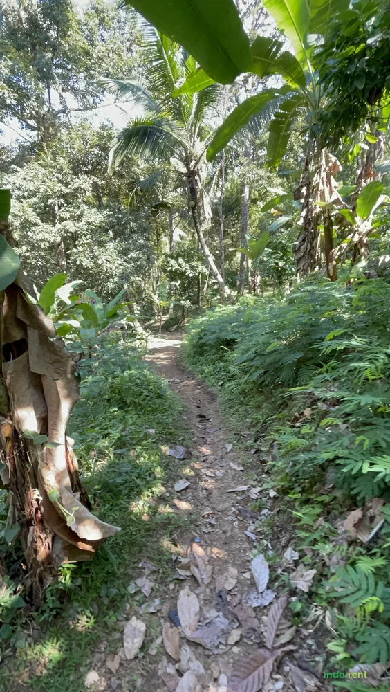 Sewa Lahan Desa Lumbung Kauh Tabanan Bali, 184 Are SHM 3
