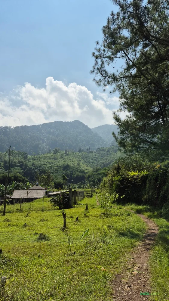DI SEWAKAN TANAH DI CISARUA PUNCAK 2
