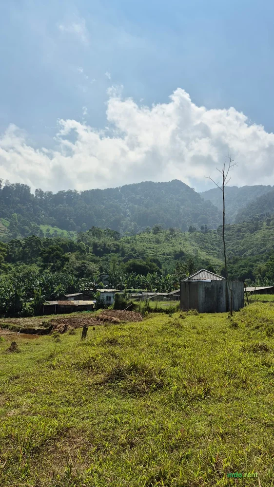 DI SEWAKAN TANAH DI CISARUA PUNCAK 3