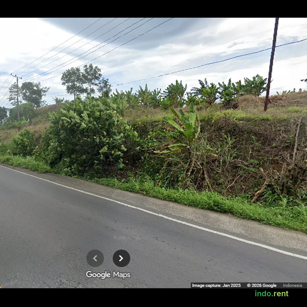 Dijual tanah kebun 6 hektar dekat pelabuhan Bakauheni Lampung 2