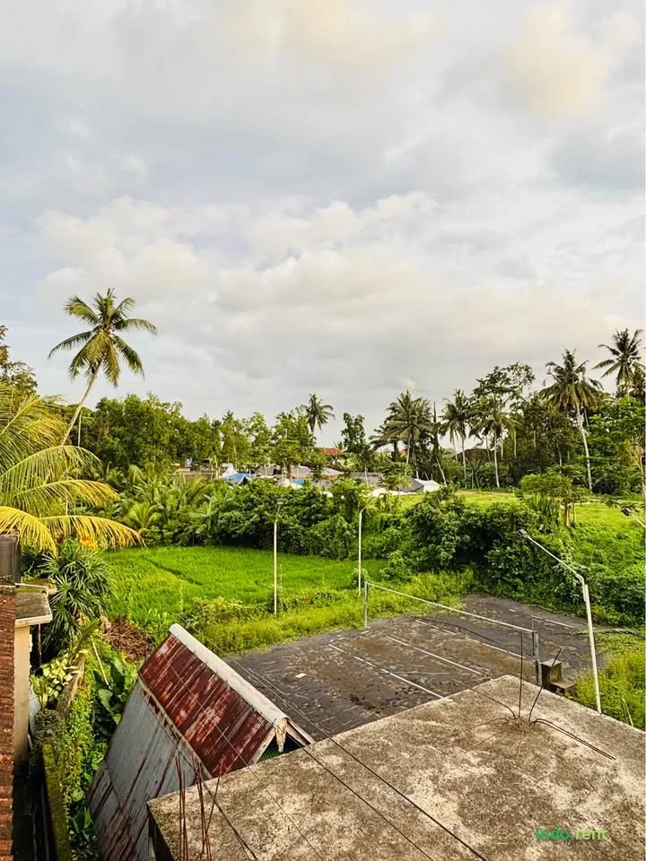 1 Kamar Tidur 1 Kamar Mandi - Rumah 5