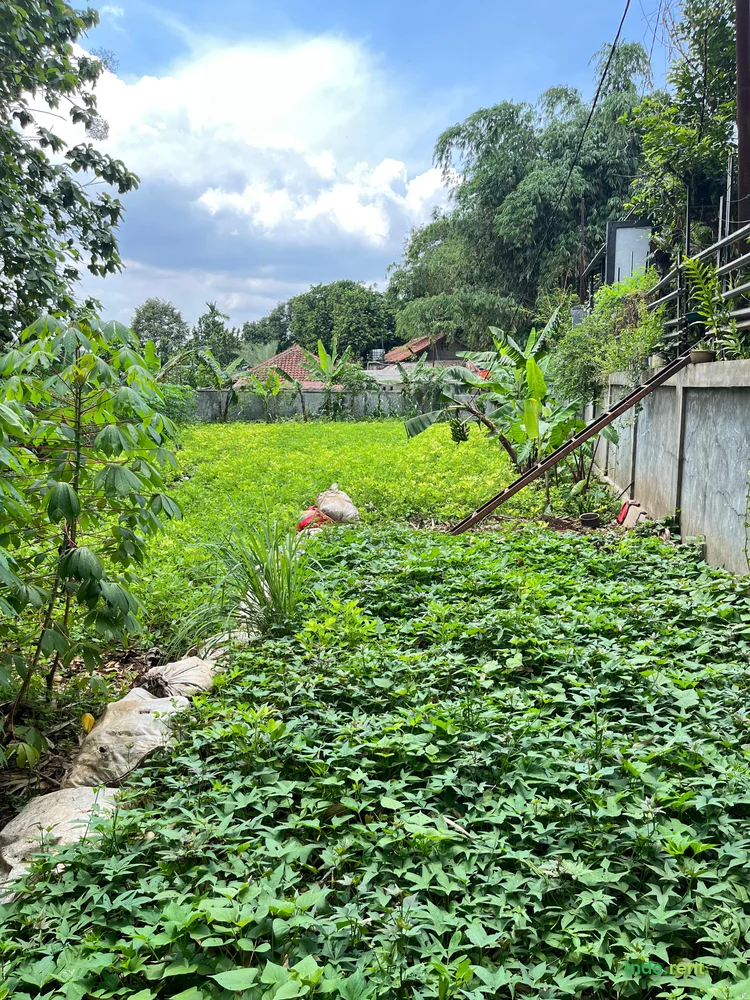 DI SEWAKAN TANAH DI KERADENAN CIBINONG BOGOR 3