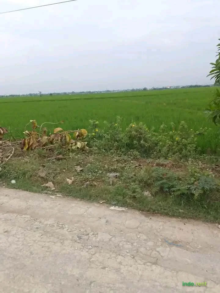 DIJUAL TANAH SIAP BANGUN DI CIKARANG – AKSES {{CONTACT}} & BEBAS SUMPEK (ZONA HIJAU) 2