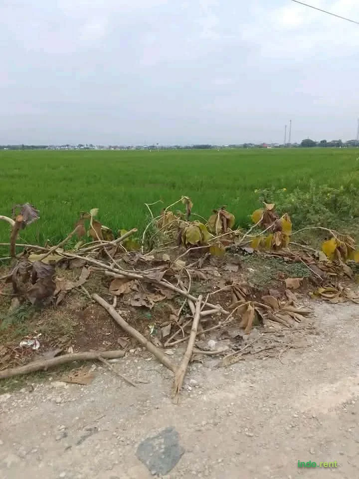 DIJUAL TANAH SIAP BANGUN DI CIKARANG – AKSES {{CONTACT}} & BEBAS SUMPEK (ZONA HIJAU)