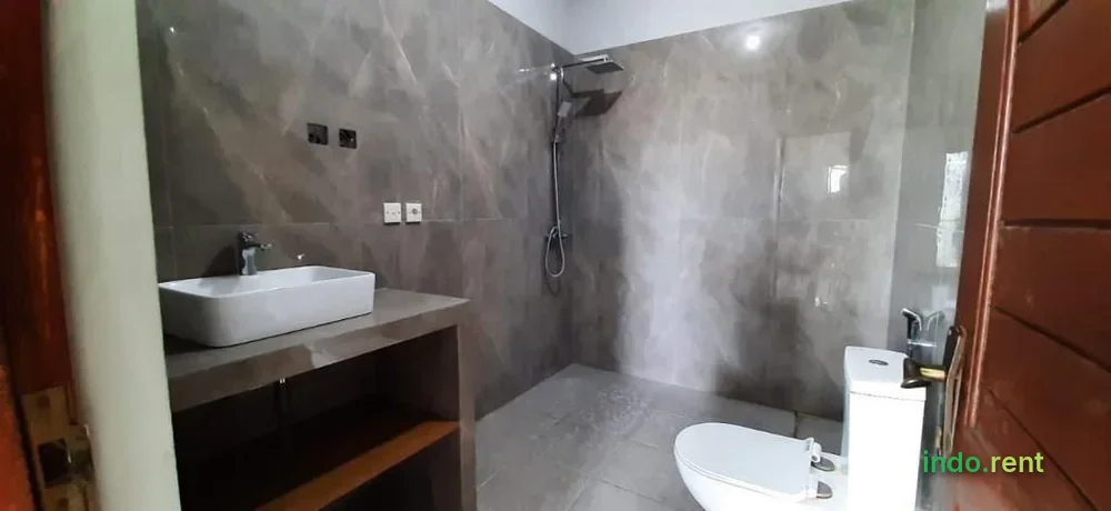 House for yearly rent in Seminyak 5