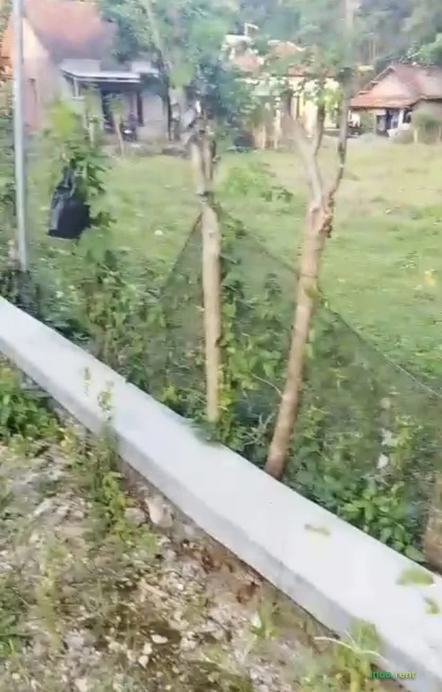 Dijual Murah Tanah di Pati Jawa Tengah 2