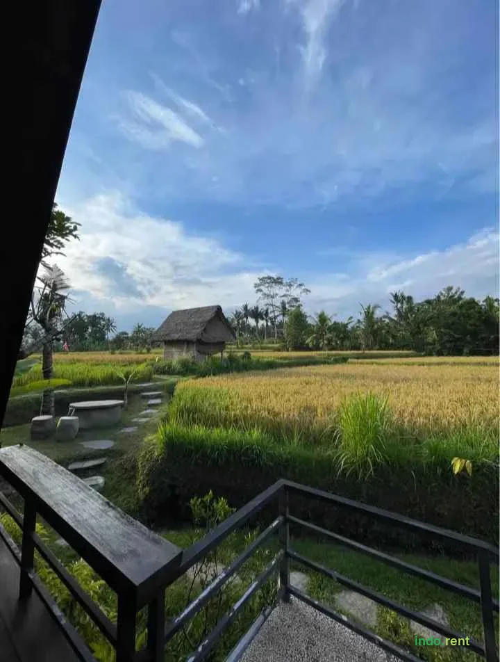 Available 1 bedroom villa with bathroom 10