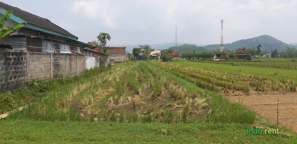 Jual Tanah DItengah Kota Pacitan Belakang Pabrik dan Gudang