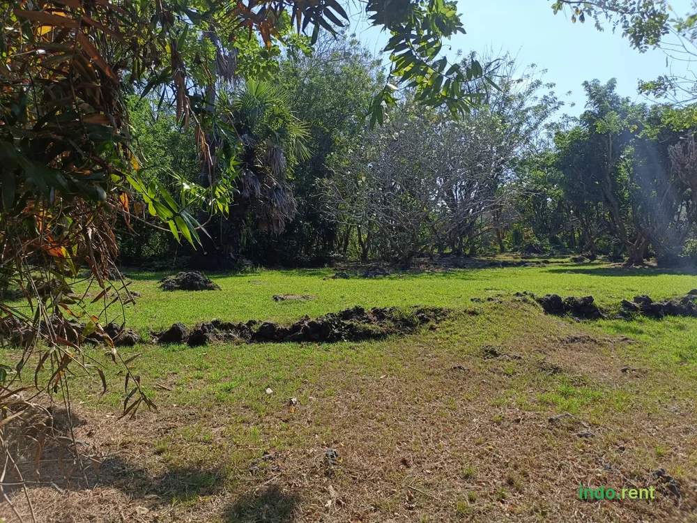 FOR SALE LAND GREENBOWL 2 HEKTAR