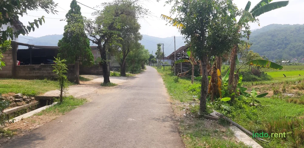 Jual Tanah DItengah Kota Pacitan Belakang Pabrik dan Gudang 3