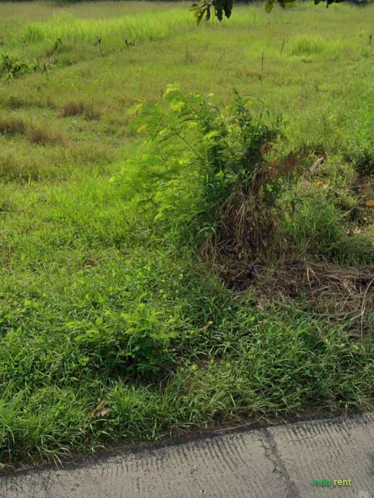 dijual tanah nol jalan raya 2
