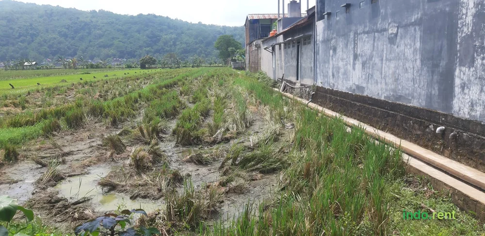 Jual Tanah DItengah Kota Pacitan Belakang Pabrik dan Gudang 2