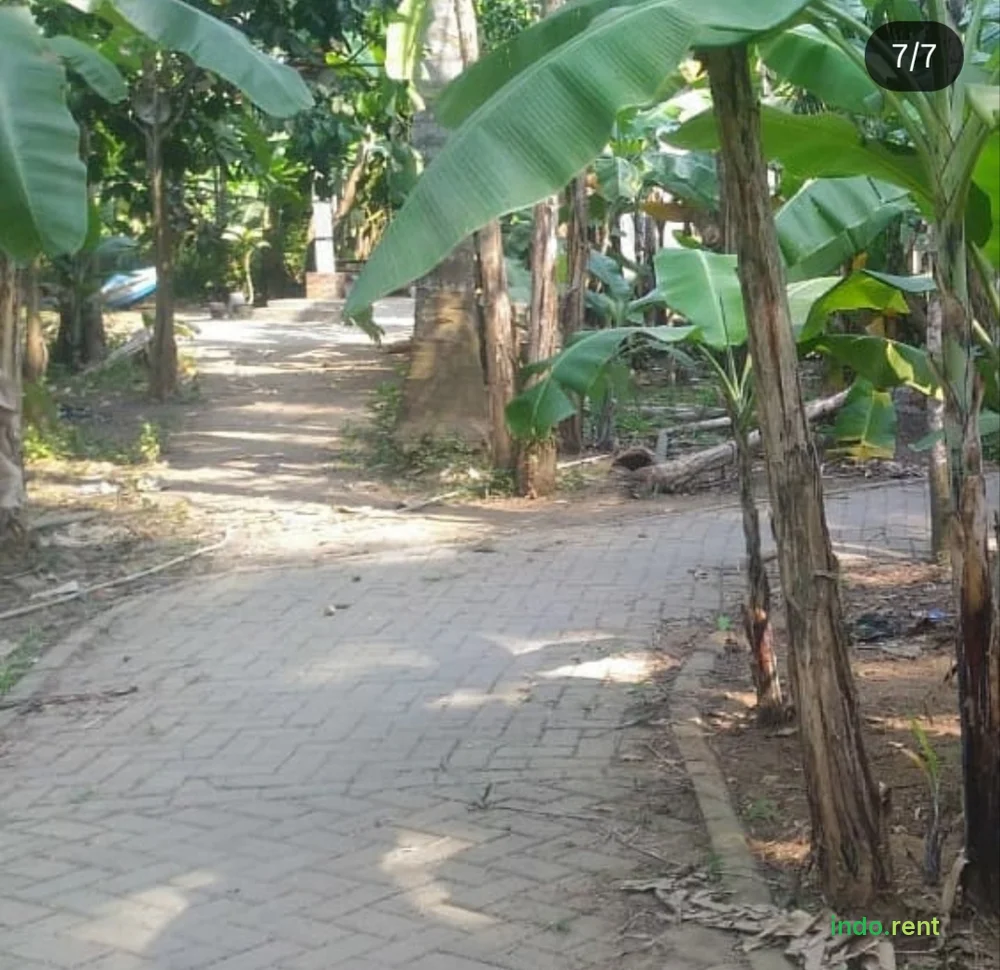 TANAH DIJUAL