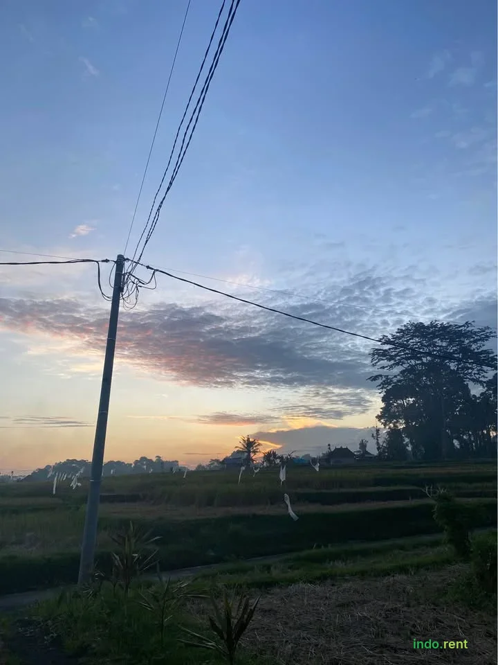 1 Bedroom 1 Bathroom - House 8