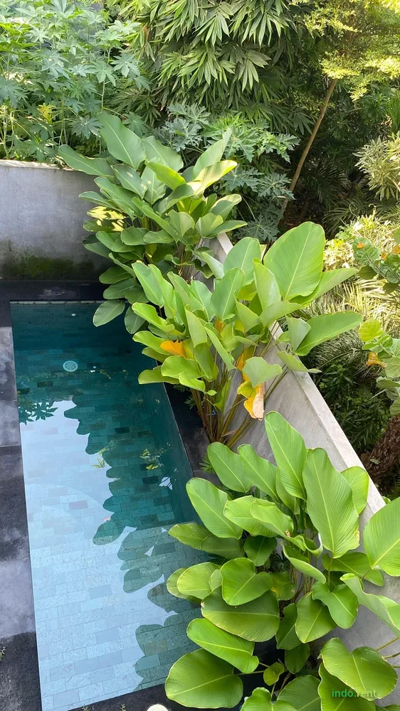 Stylish 2BR Villa in Sanur 9