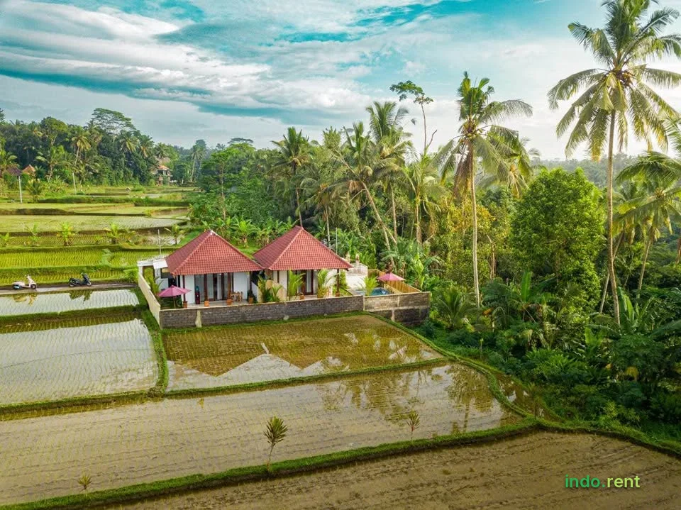 1 Bedroom 1 Bathroom - House 2