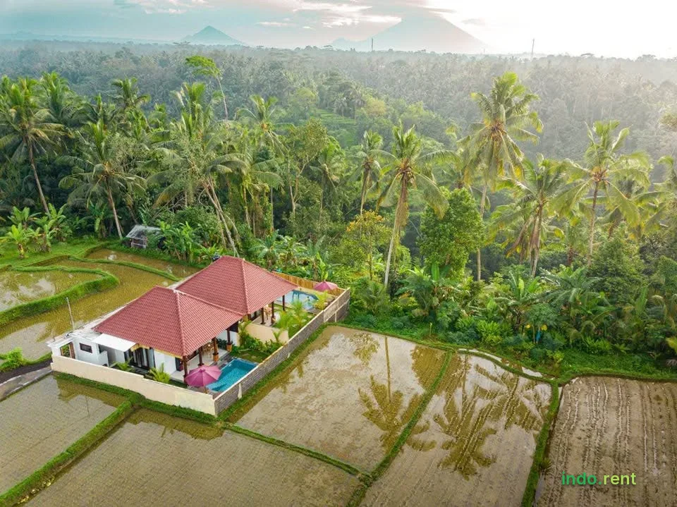 1 Bedroom 1 Bathroom - House