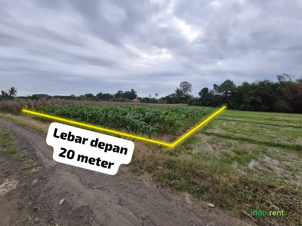 LAND FOR SALE – 13.8 ARE  Price: IDR 250 Million  Suitable for investment, villa development, or long-term projects. 2