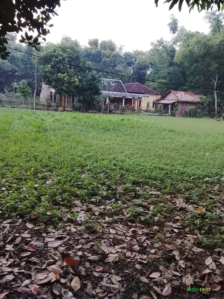 Dijual Murah Tanah di Pati Jawa Tengah 3