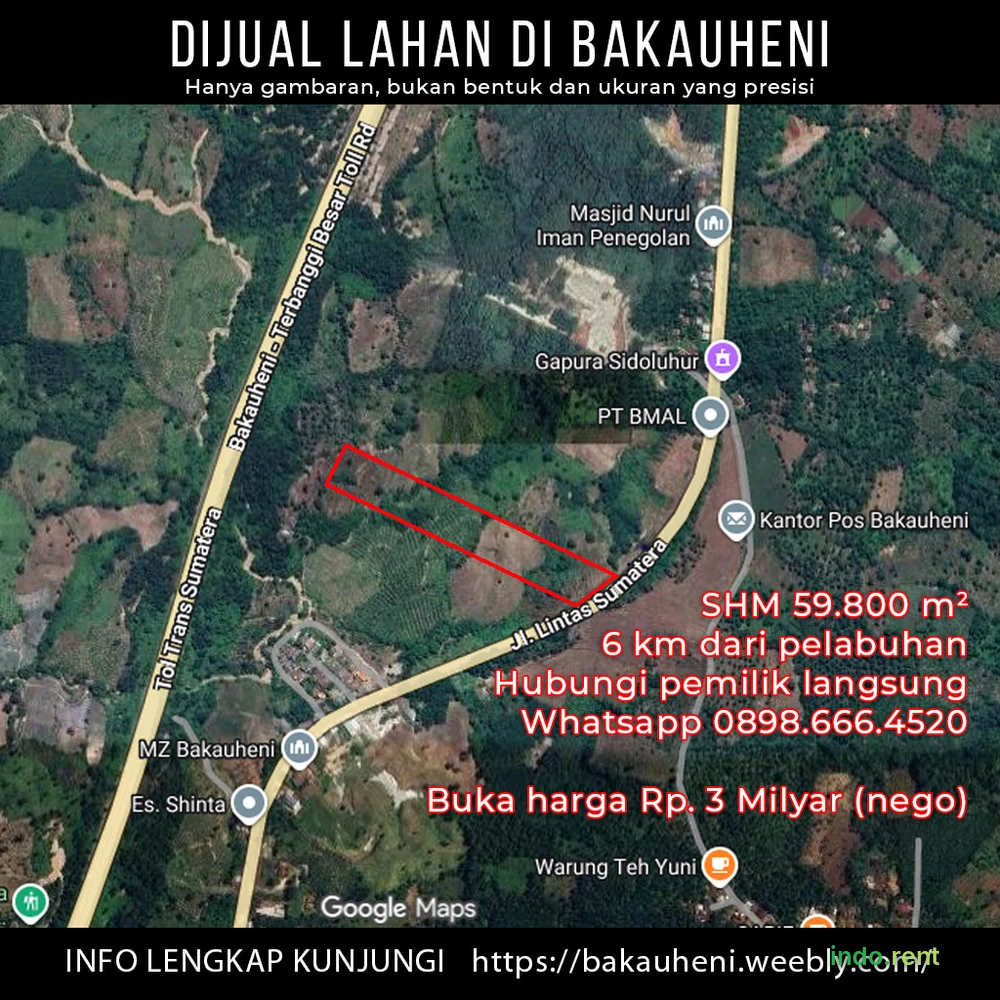 Dijual tanah kebun 6 hektar dekat pelabuhan Bakauheni Lampung