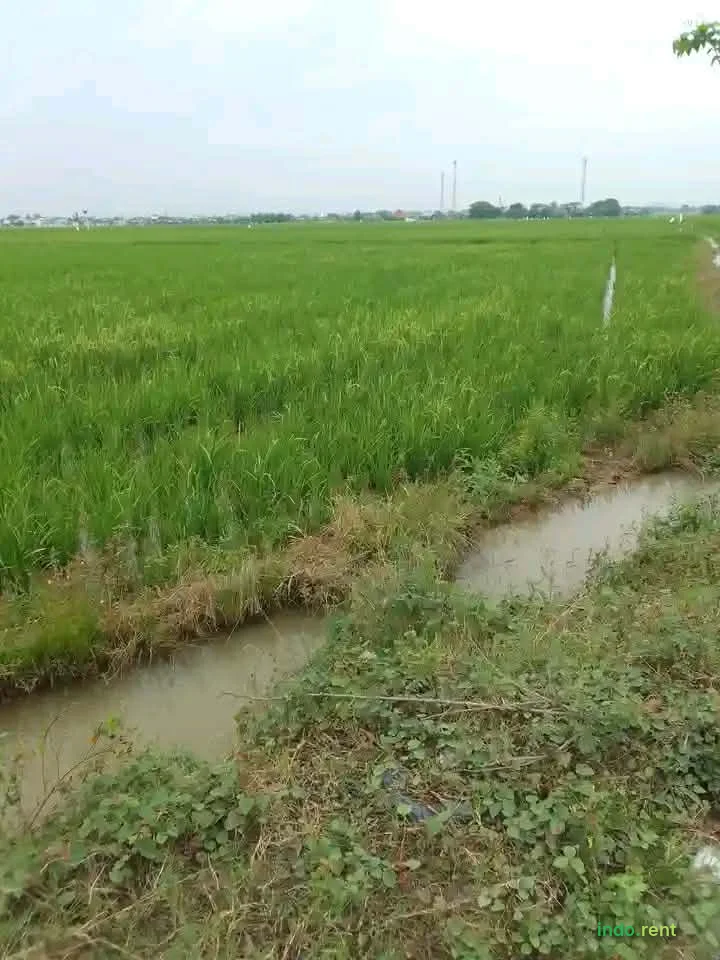 DIJUAL TANAH SIAP BANGUN DI CIKARANG – AKSES {{CONTACT}} & BEBAS SUMPEK (ZONA HIJAU) 3