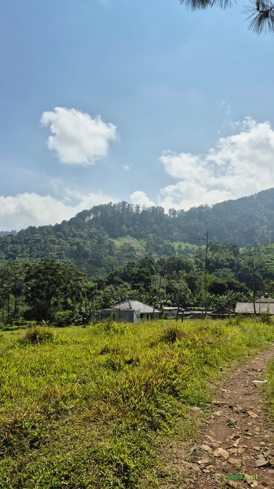 DI SEWAKAN TANAH DI CISARUA PUNCAK