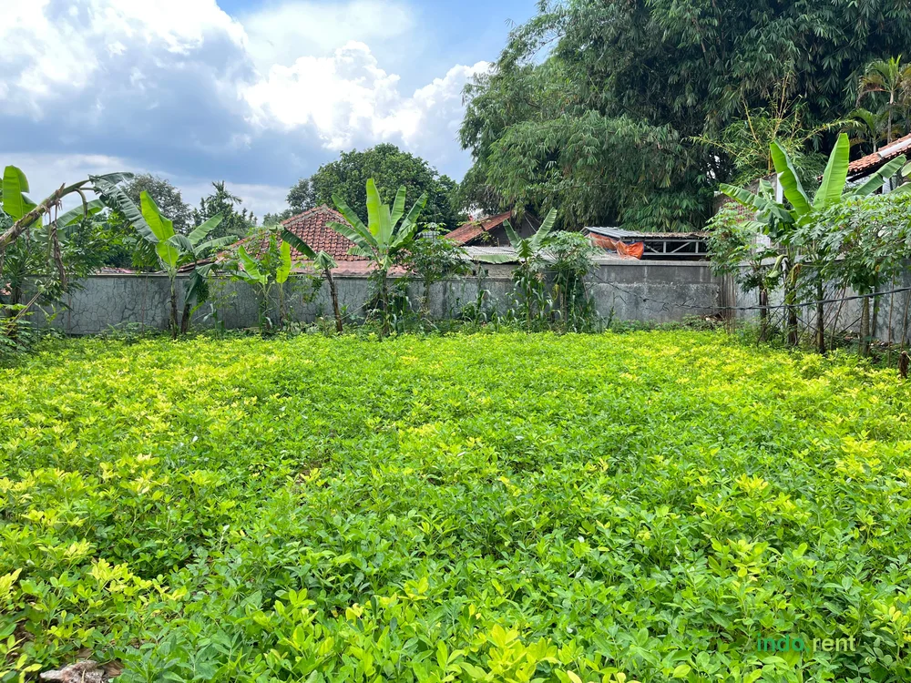 DI SEWAKAN TANAH DI KERADENAN CIBINONG BOGOR