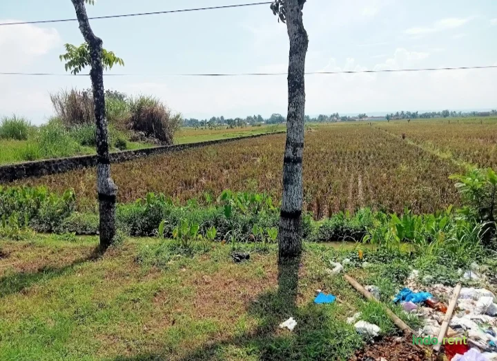 DIJUAL SAWAH LUAS 2,812,5 m² Legalitas SHM
