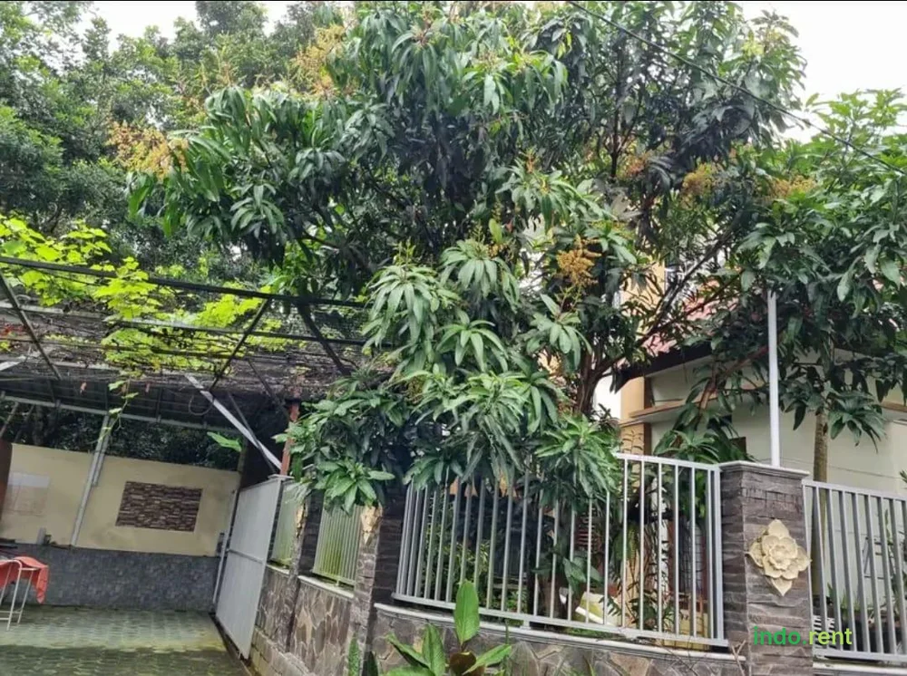 Rumah jogja kaliurang km 9,3