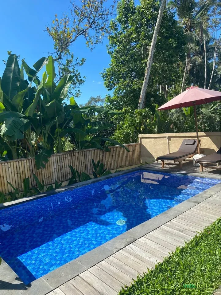 1 Bedroom 1 Bathroom - House 5