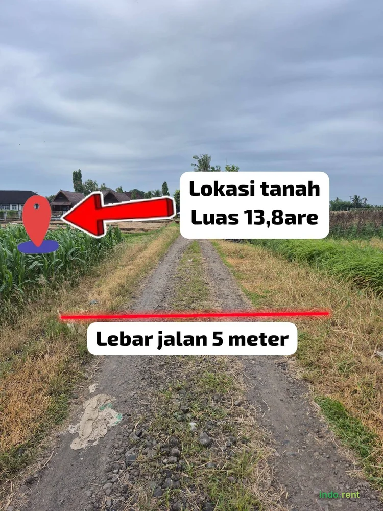 LAND FOR SALE – 13.8 ARE  Price: IDR 250 Million  Suitable for investment, villa development, or long-term projects. 3