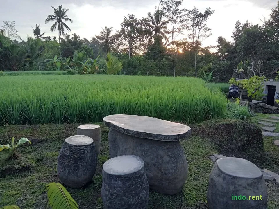 Available 1 bedroom villa with bathroom 9