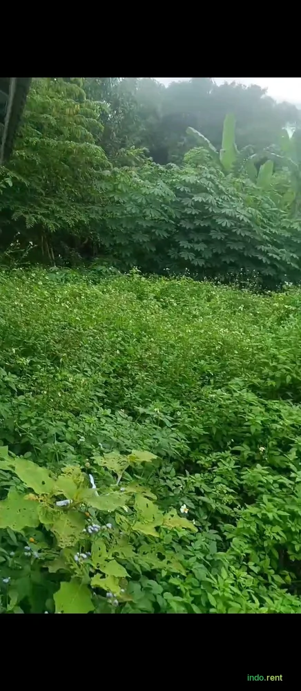 Tanah darat pinggir jalan 1000m2 SHM Sukamulya Tangerang 3