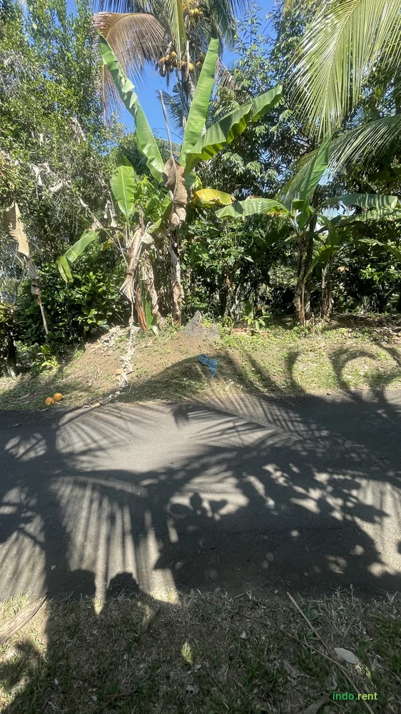Sewa Lahan Desa Lumbung Kauh Tabanan Bali, 184 Are SHM 2