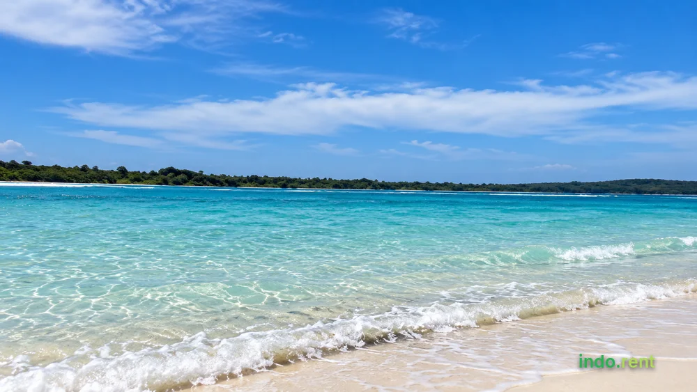COMMERCIAL LAND AVAILABLE FOR SALE OR LONG-TERM LEASE – MENTAWAI, INDONESIA
