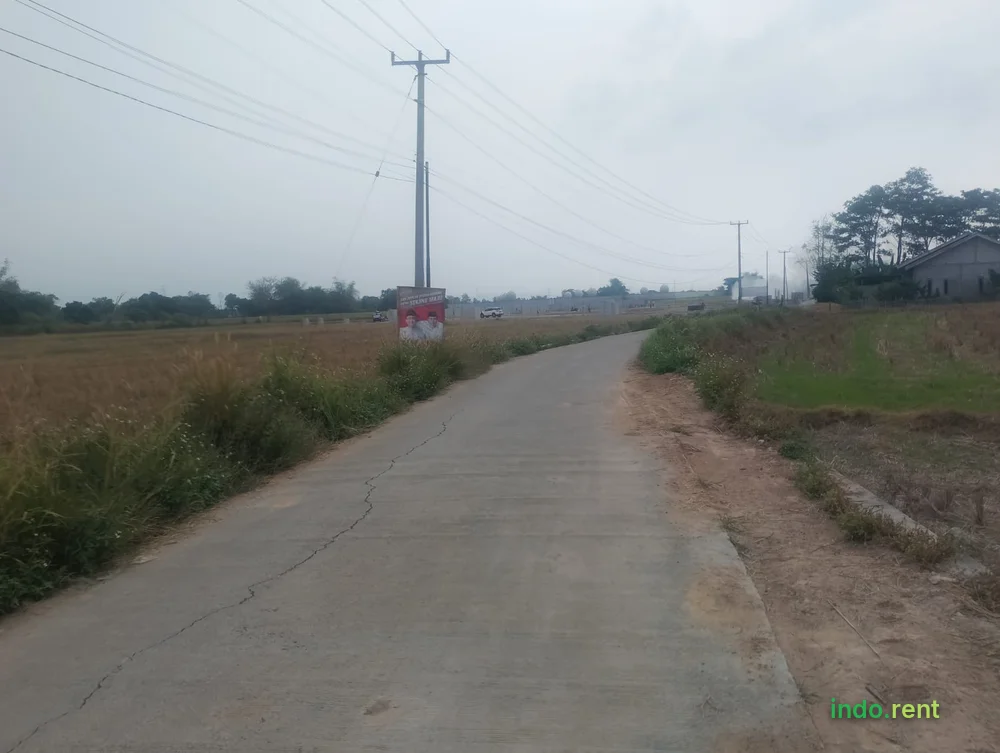 Jual tanah sawah produktif  2