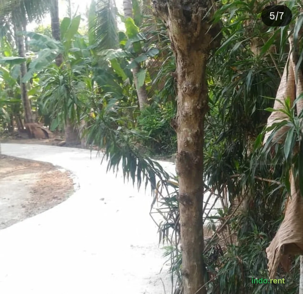 TANAH DIJUAL 3