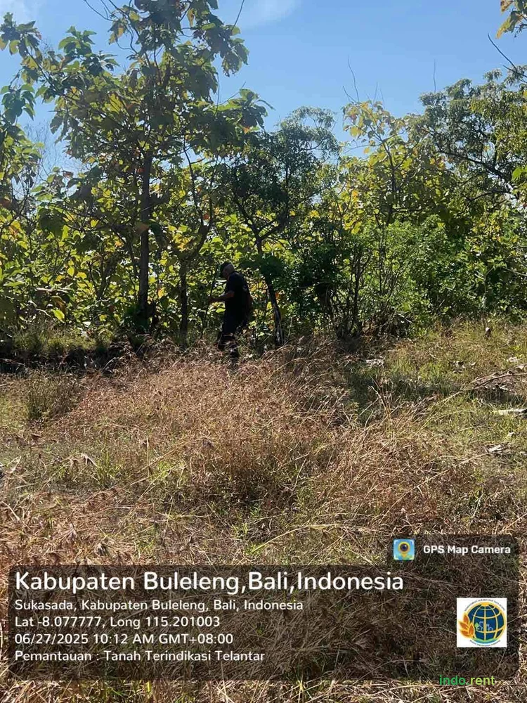 Tanah di Kubutambahan 2 Hektar