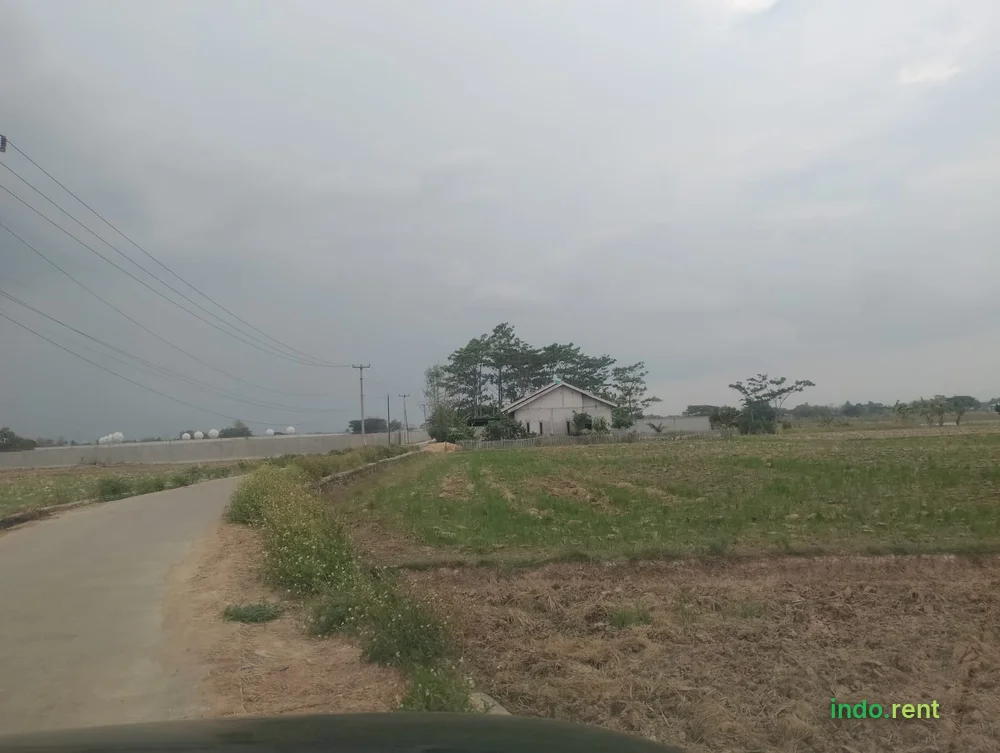 Jual tanah sawah produktif 