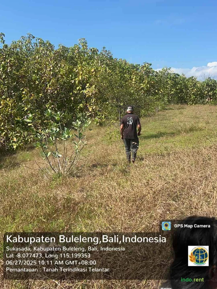 Tanah di Kubutambahan 2 Hektar 3